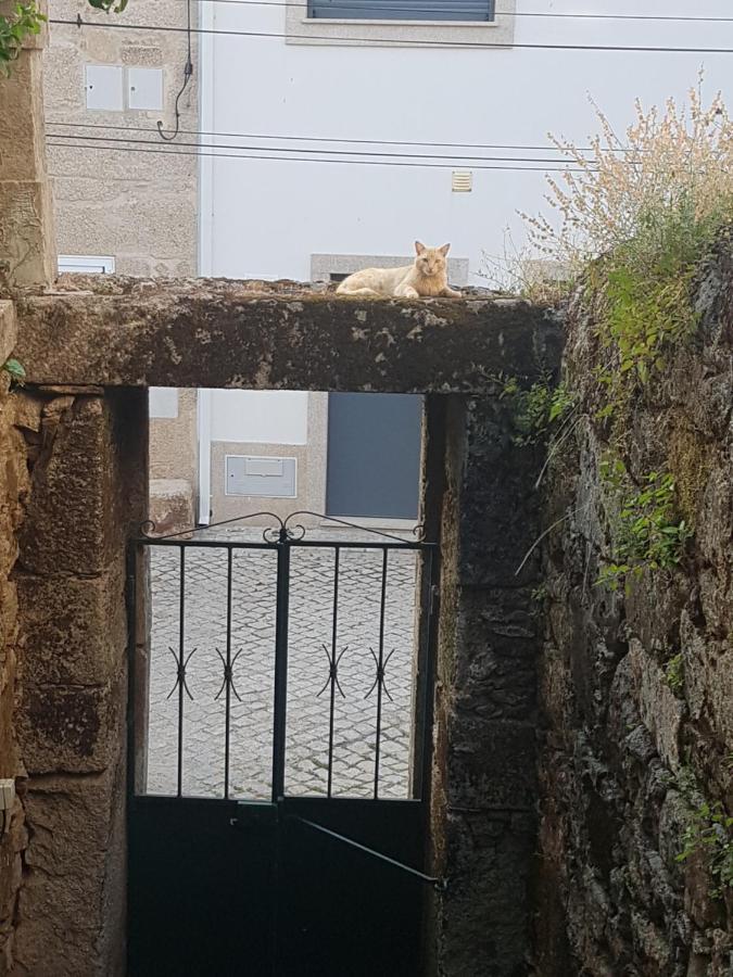 Casa Da Vila Penamacor Buitenkant foto