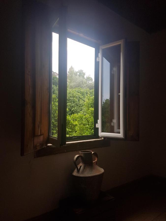 Casa Da Vila Penamacor Buitenkant foto